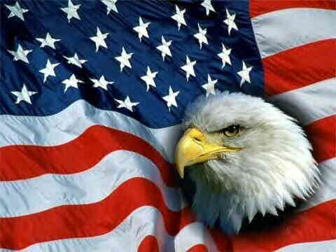 [american_flag_and_eagle-thumb.jpg]