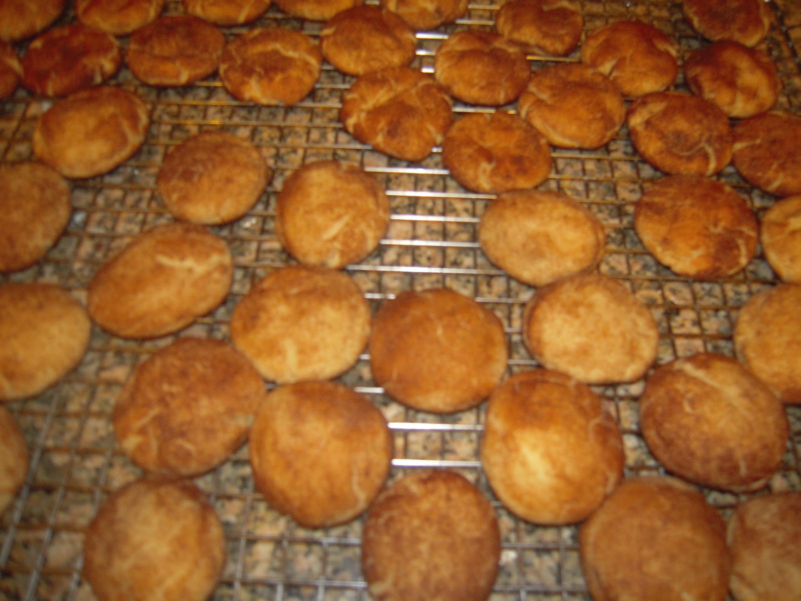 Adventures in Contesting Dairy Free Snickerdoodles