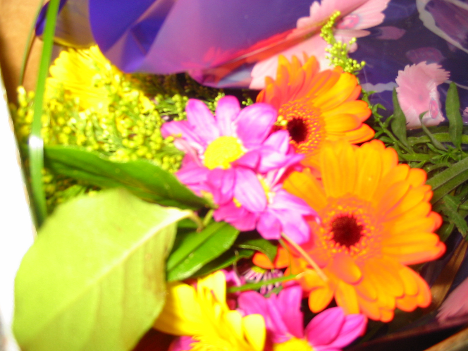 [flowerdelivery2.JPG]