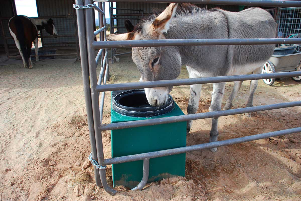 The 7MSN Ranch Saturday encore Solarheated water trough product review