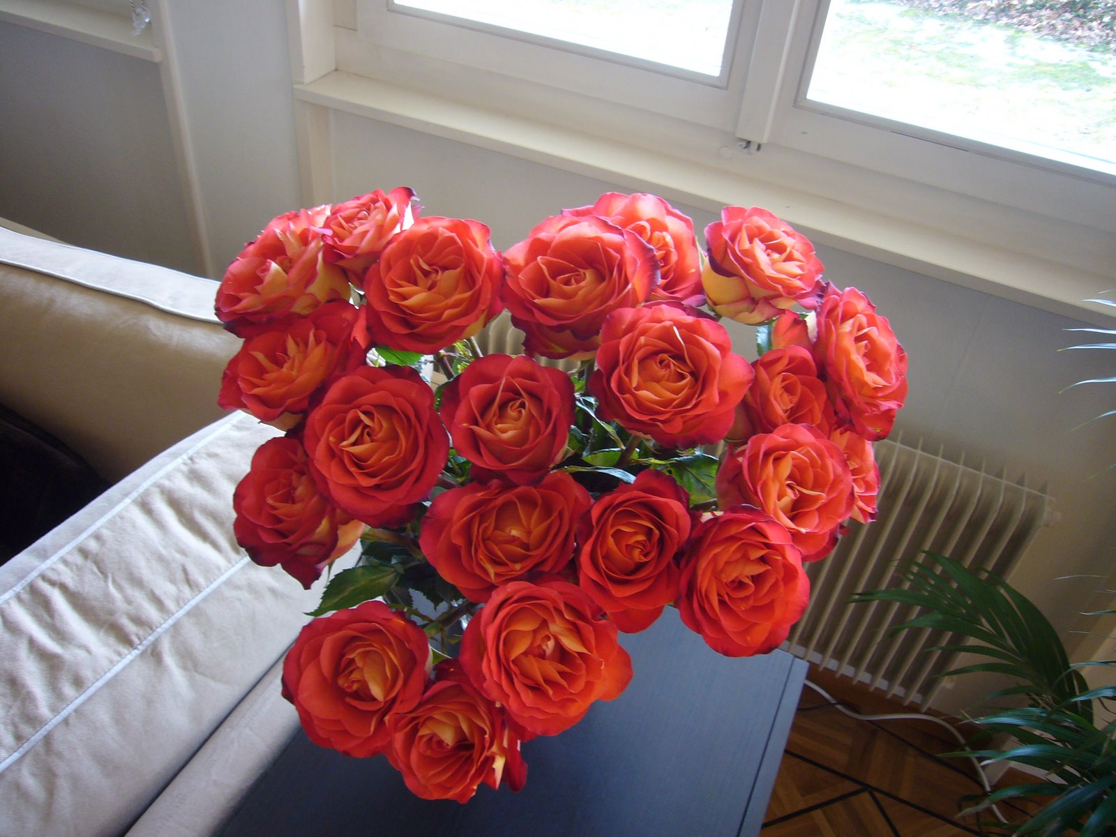[Feb+2009+070.JPG]