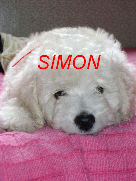 SIMON