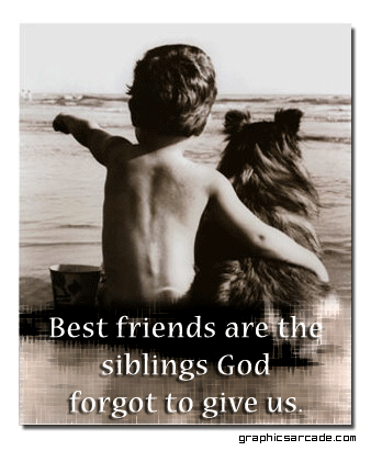 images of quotes on friendship. quotes. funny friends
