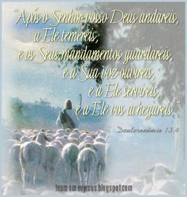 [As+ovelhas+seguem+o+Bom+Pastor+Senhor+Jesus..JPG]