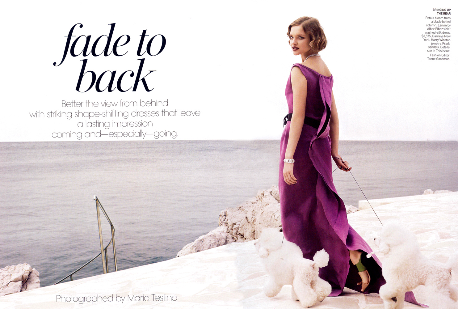 [74091--8432147-.jpg]