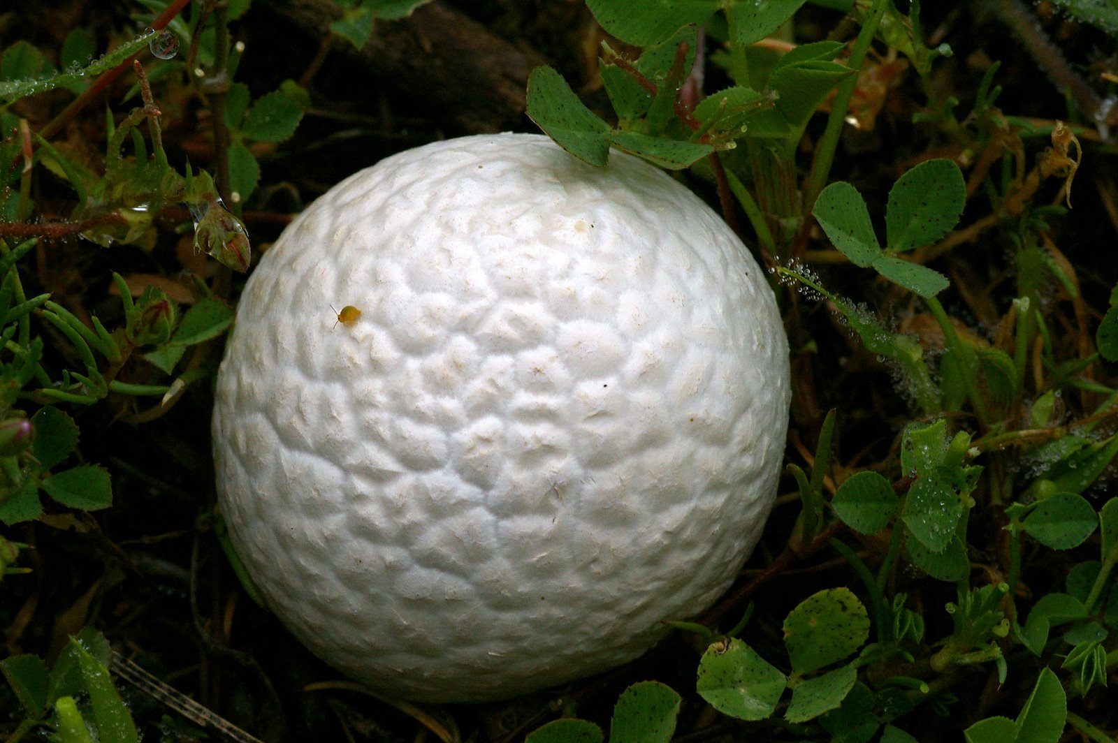 [070410_0048_CoBelalcazar.JPG]