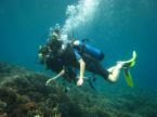 Fantastic Underwater-World in Bali