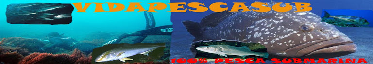 vidapescasub