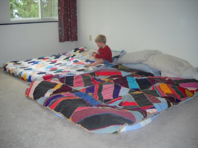 Opining Opossum Mega Bed