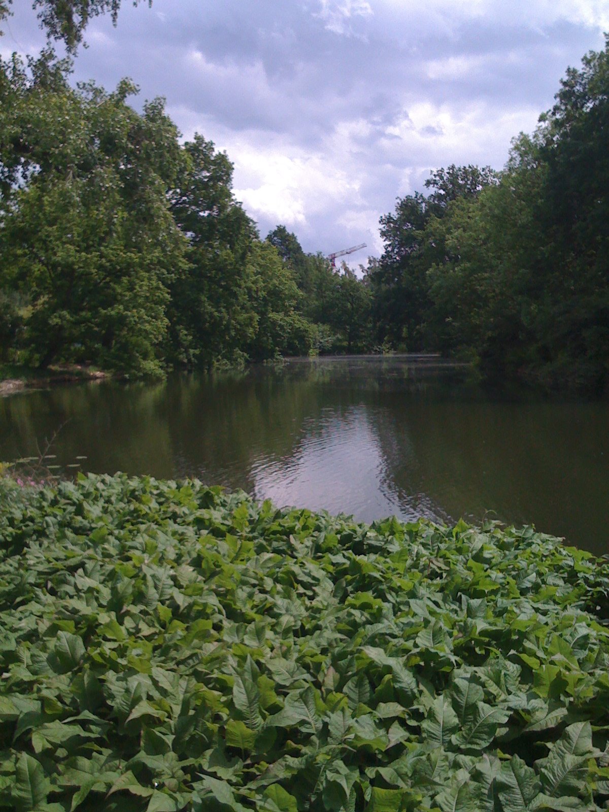 [IMG_0907.JPG]
