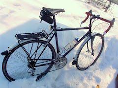 Trek 520 Commuter