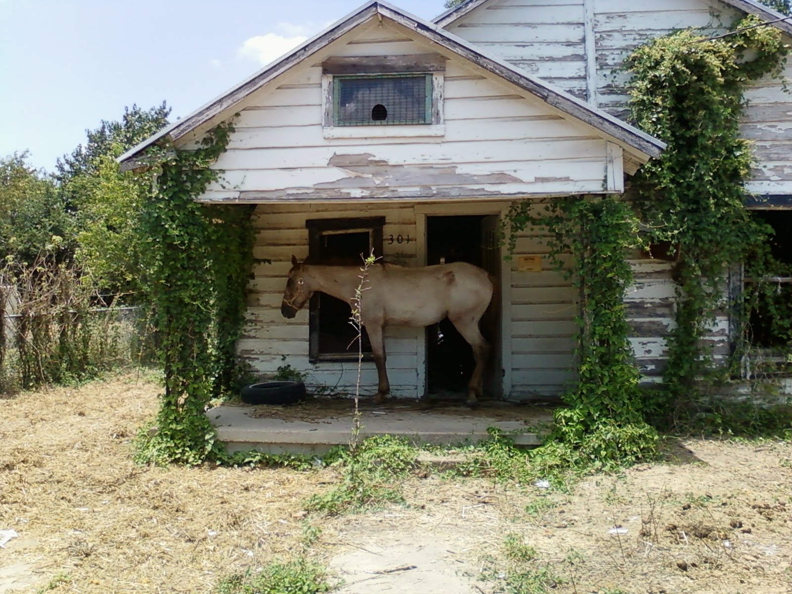 You Can't Make This Sh*t Up Marlin, Texas