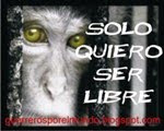 No speciesism