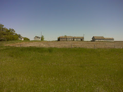 Abandoned grain bins