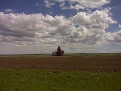 Old time grain elevator is Cadillac
