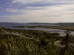 View from Joey's lookout, Gambo