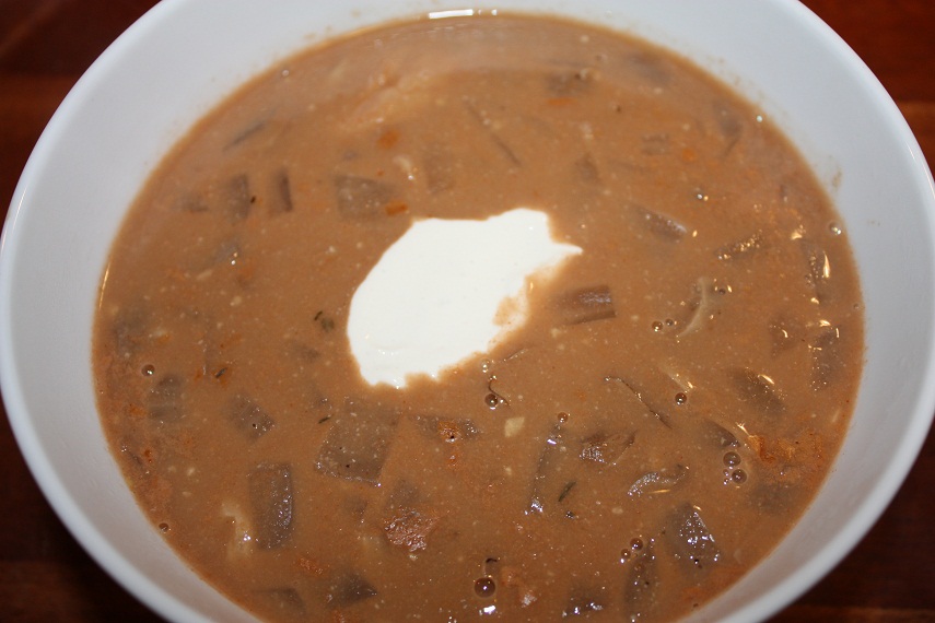 Mushroom and onion soup recipes