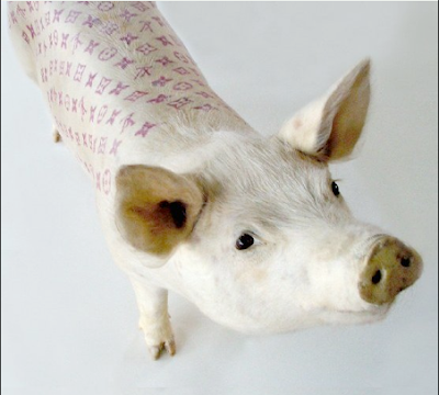 Inked Oinkers: Tattooed Pigs