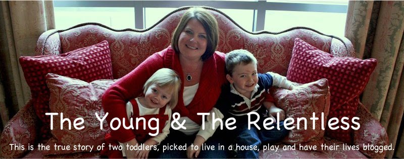 The Young  and  The Relentless