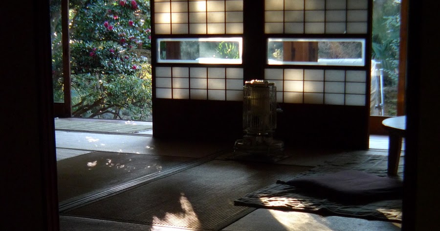 Discovery Organic Life 自然探しの生活 冬の木漏れ日たち