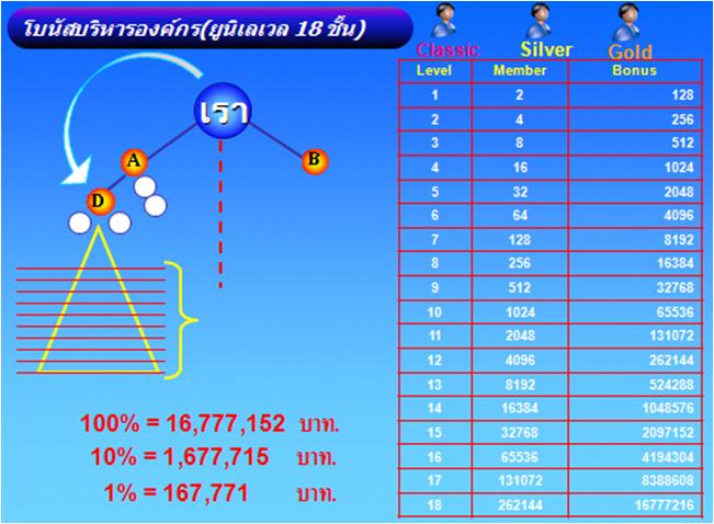 รายได้จากผู้ร่วมงานทีมซ้าย  BSwan BSY
