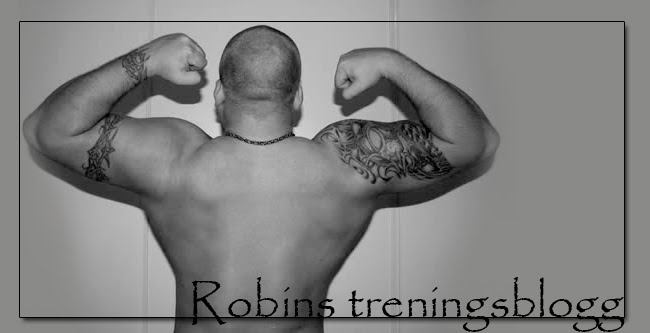 Robin's treningsblogg