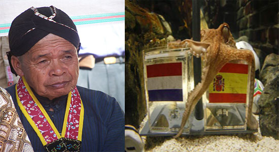 My Blog Waw, Mbah Maridjan dan Gurita Paul Meninggal Hari Ini