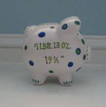 Piggy Bank with Birth Info
