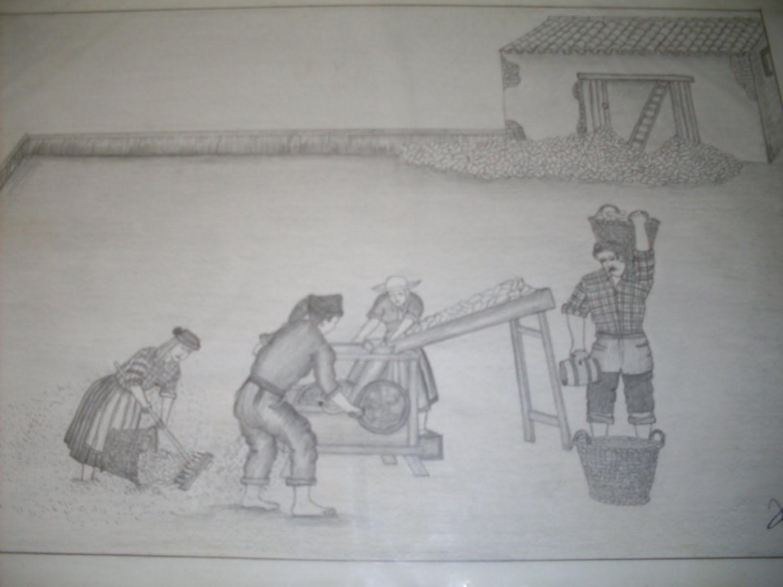 [SDC13095.JPG]