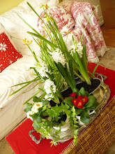 Garden In a Vintage Tray