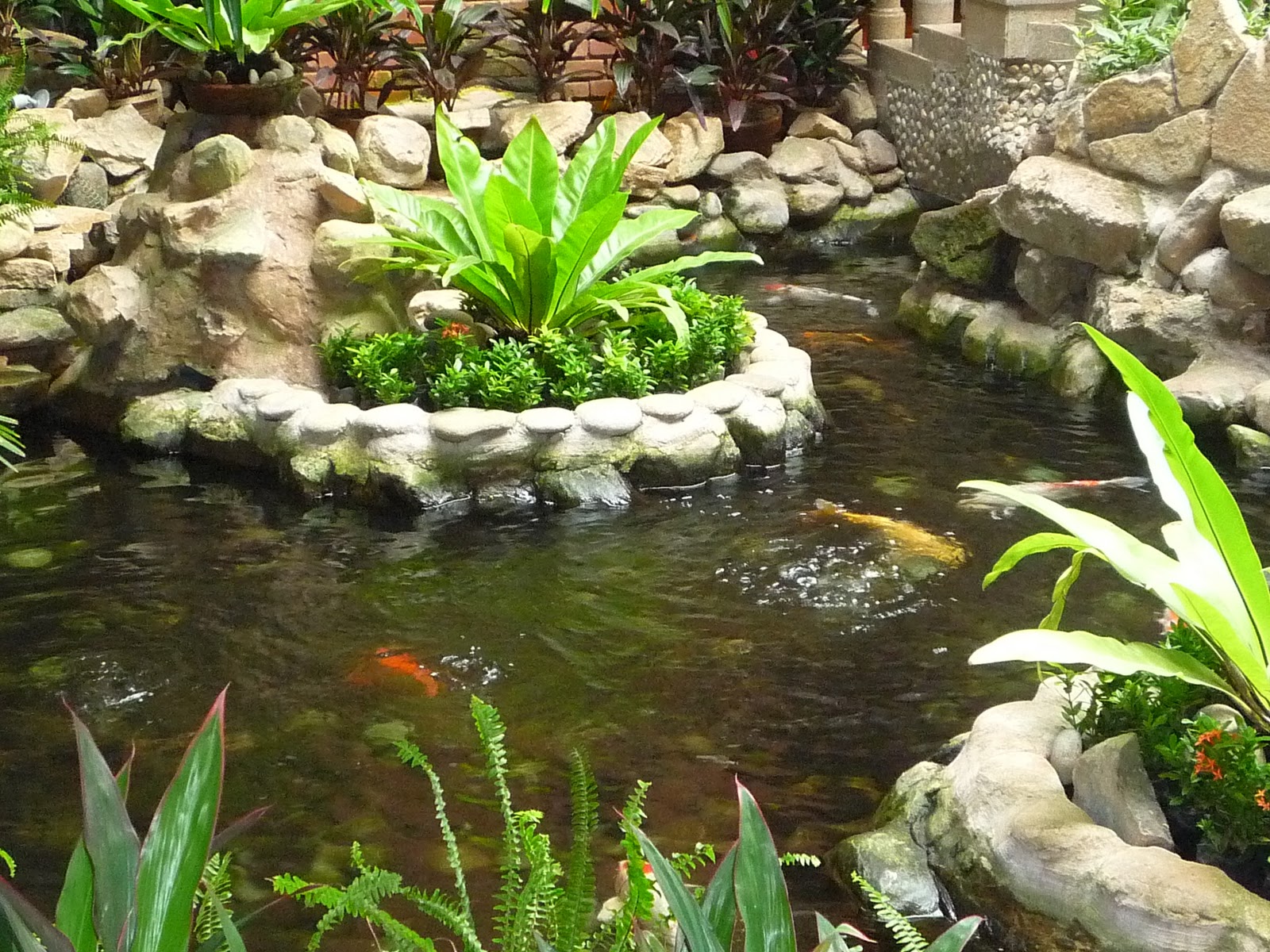 old-koi-pond-ideas-cascading-fountains.jpg
