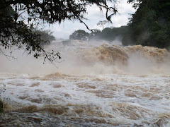 LES CHUTES A 130 KM DE YAOUNDE