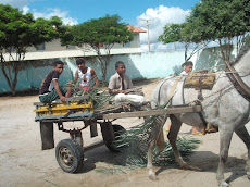 Arrumação da Escola para a Festa