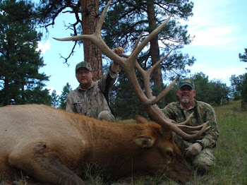 New Mexico Elk Hunt 2010