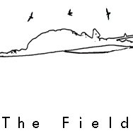 The Field