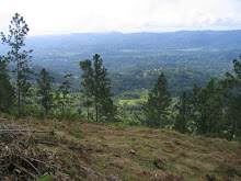 A view from Bull Head Mountain