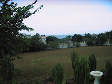 Our view at Treasure Beach guest house.