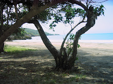 Where the road meets the beach....