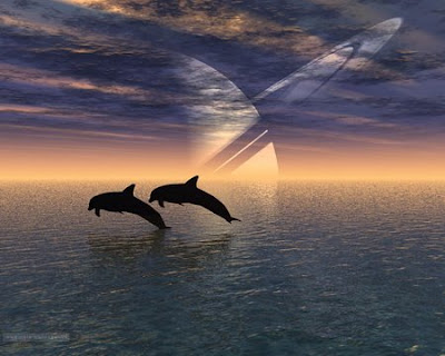 dolphins wallpapers. Windows Vista Wallpapers?