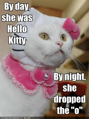 funny-pictures-cat-dresses-as-hello-kitty-by-day.jpg