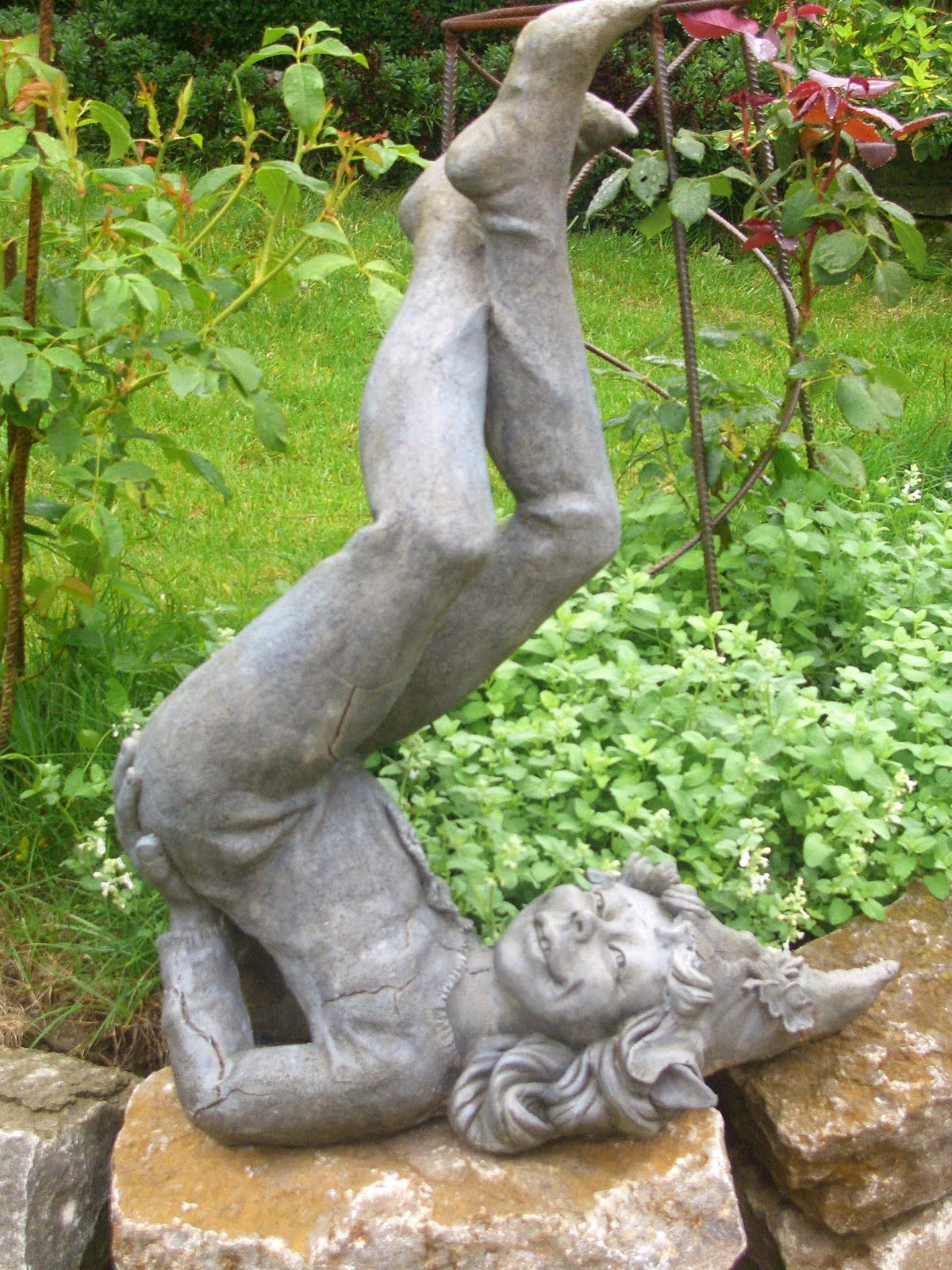 Rosenperle Der Garten