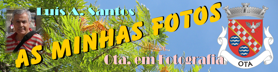 As Minhas Fotos
