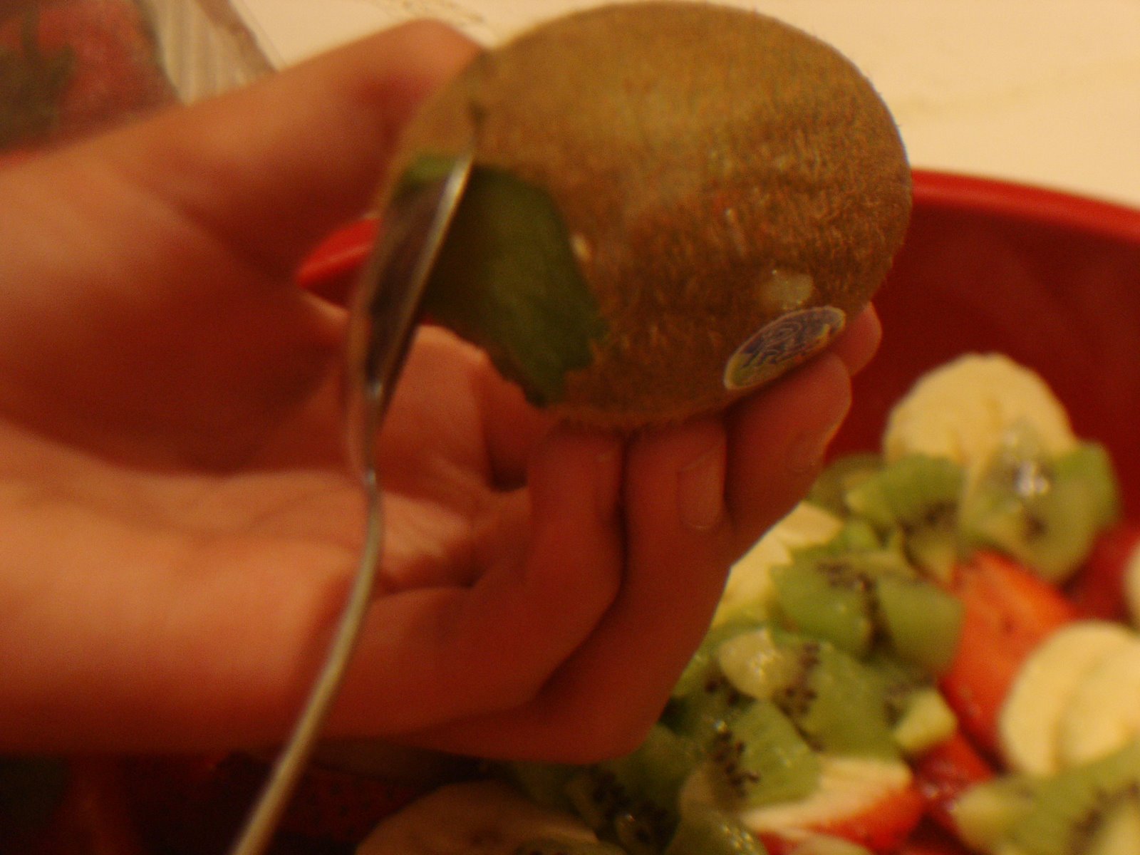 [DSC04255.JPG]