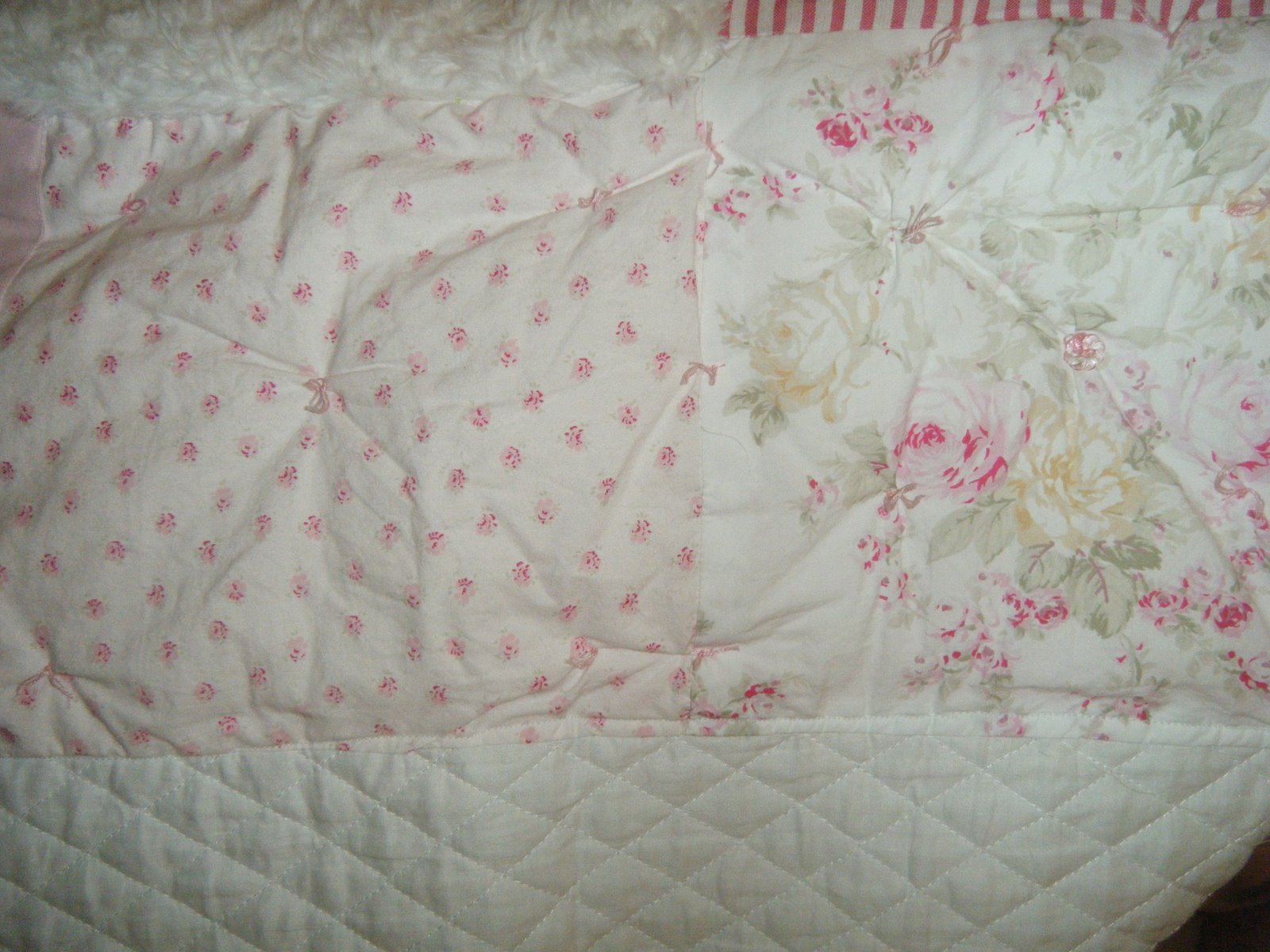 [DSCF1490.jpg]