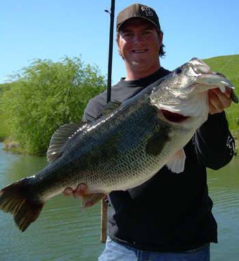 harry potter and deathly hallows_293. largemouth bass record. Giant Largemouth Bass On; Giant Largemouth Bass On