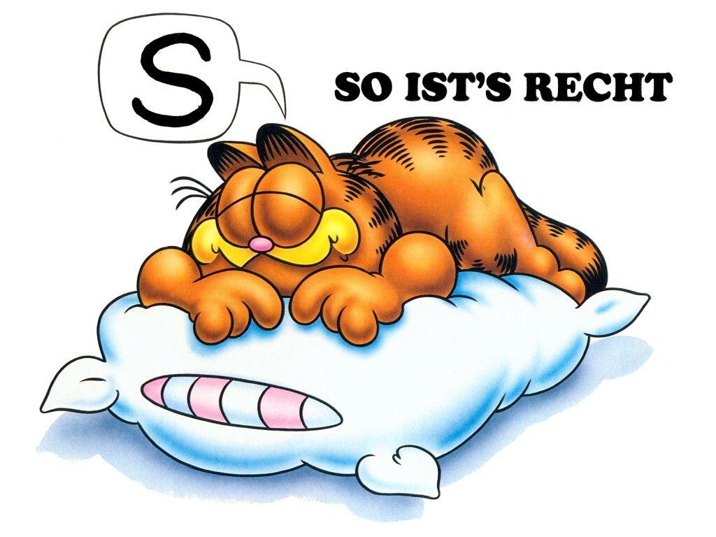 garfield liar