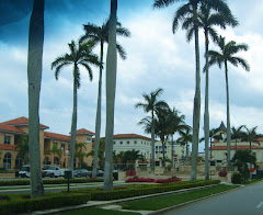 Palm Beach