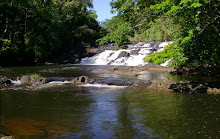 A MATA ATLÂNTICA PRESERVADA