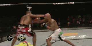 3.gif