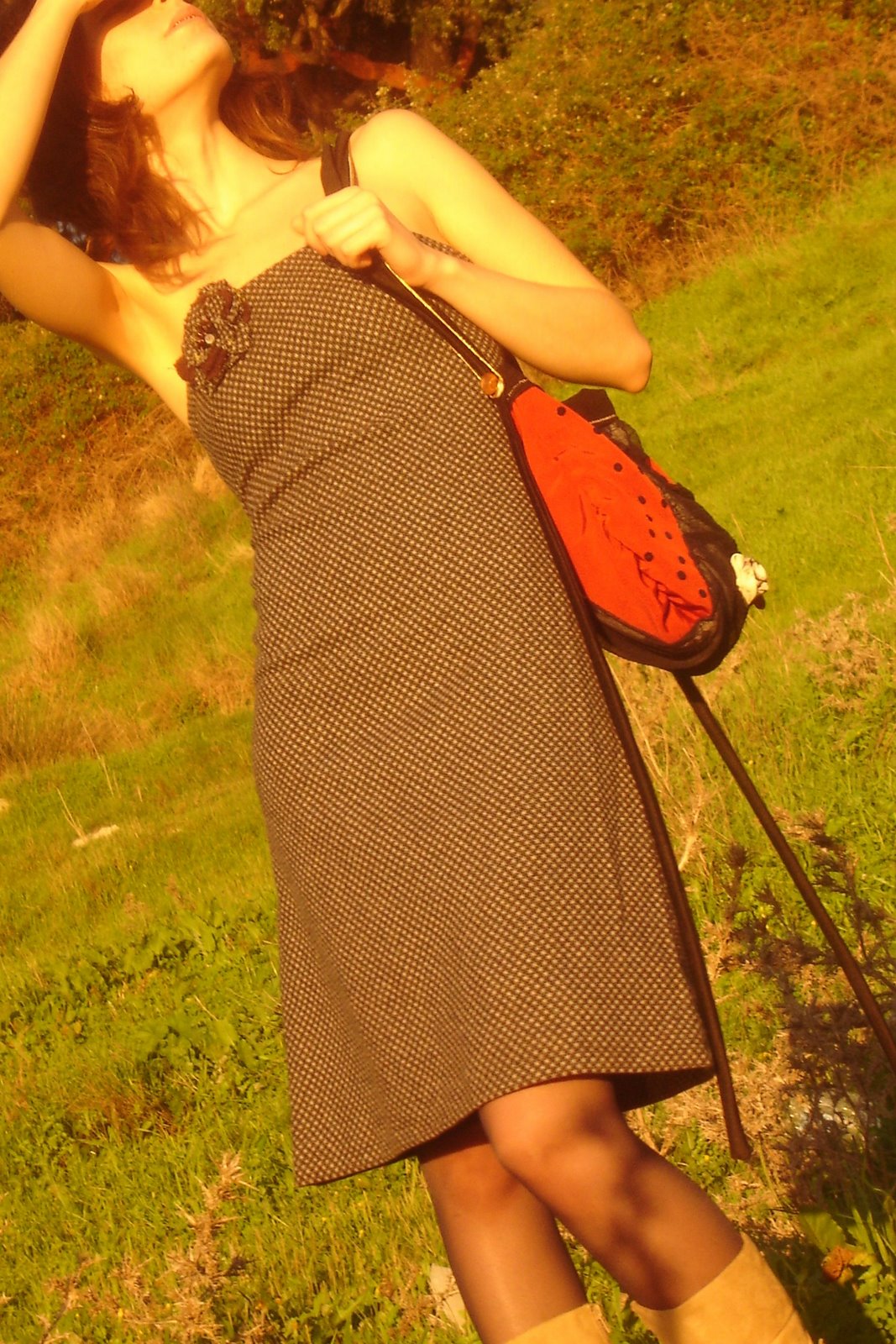 [DSC06336.JPG]